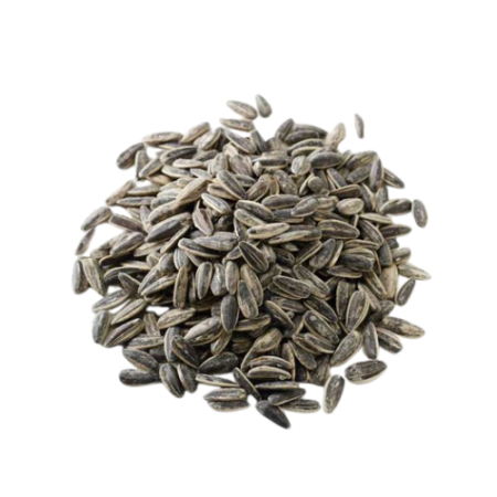 Sunflower Seed Salted