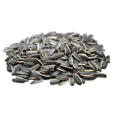 Sunflower Seed